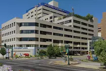 Get your St. Louis Blues - St. Louis Children's Hospital